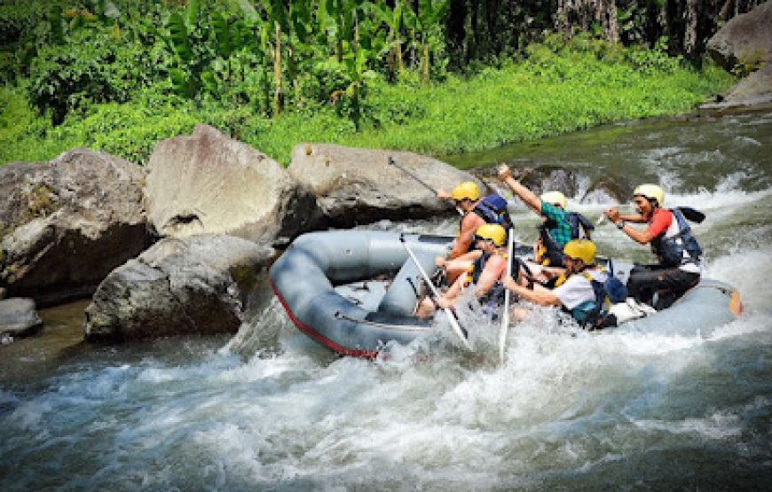 Ayung River Rafting & Spa Retreat