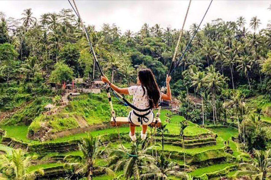 Ubud Swing & Scenic Landscape Experience